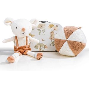 FOR YOU GIFTS Geboorte Cadeaupakket 'Dreamy Mouse' Jongen