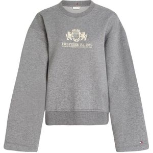 Tommy Hilfiger sweater grijs