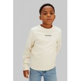 Calvin Klein Jeans Sweatshirt  stone grey / zwart