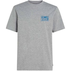 O'Neill regular fit T-shirt met backprint grijs