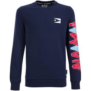 WE Fashion sweater donkerblauw/rood/lichtblauw