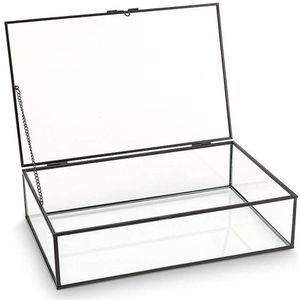 VT wonen opbergbox/ glazen vitrine metaal/glas zwart 21x33x9cm