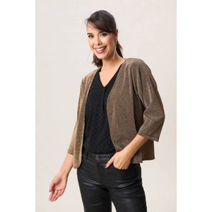 Miss Etam gebreid vest goud met glitter