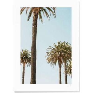 WIJCK. poster Mallorca - Palms (30x40 cm)