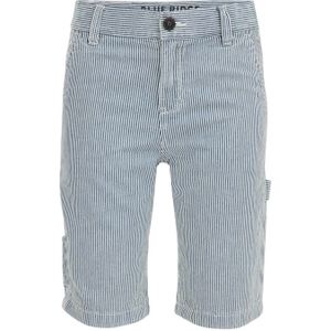 WE Fashion carpenter short met streep donkerblauw/wit