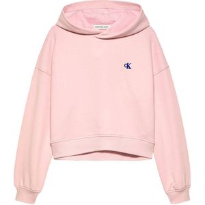 Calvin Klein sweater roze