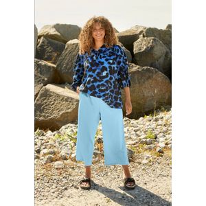 Zhenzi top blauw