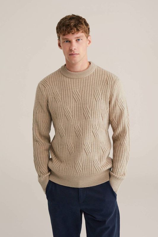 WE Fashion - Regular Fit - Trui - Wolmix