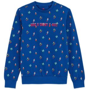 WE Fashion kersttrui blauw