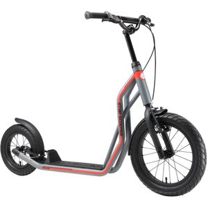 STAR SCOOTER Autoped 16 inch + 12 inch, grijs