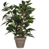 Mica Decorations Ficus Natasja Kunstplant in Bloempot Stan - H40 x Ø30 cm - Groen