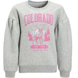 Me & My Monkey sweater Emma met printopdruk grijs melange