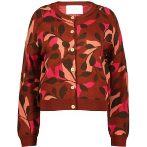 Didi gebreid vest roodbruin