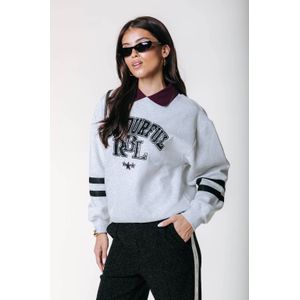 Colourful Rebel sweater grijs melange met glitter