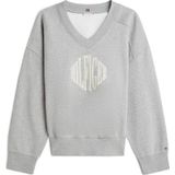 TOMMY HILFIGER Sweatshirt 'VARSITY '  beige / grijs