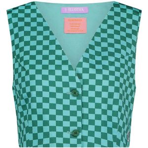 Ellastiek geruit reversible gilet Freek groen