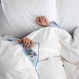 Fabiola - Oostenrijks Donsdekbed - 140x200 cm - Eendendons en Eendenveren - Natuurzuiver Katoen