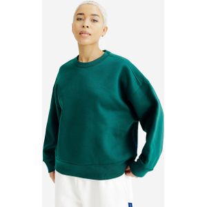 Damessweater met ronde hals elementals groen