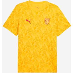 T-shirt rc lens seizoen 25/26 katoen volwassenen