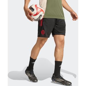 adidas - Bayern München - Trainingsbroekje - Zwart Rood - Europees 2025-2026