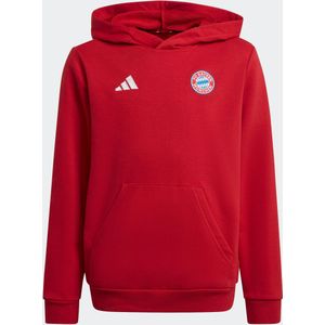 adidas - FC Bayern München - Hoodie - Junior - 2024 - Regular Fit