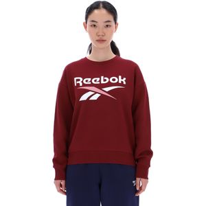 Reebok Classics Reagan Oversized Sweatshirt
