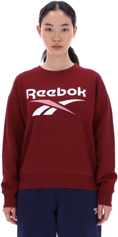 Reebok Classics Reagan Oversized Sweatshirt