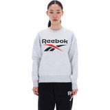 Reebok Classics Reagan Oversized Sweatshirt