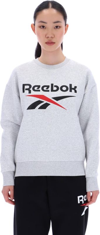 Reebok Classics Reagan Oversized Sweatshirt