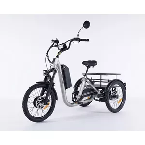 M300 Elektrische Driewieler Voor Volwassenen – 24x2.125 Banden, 36V 15Ah Afneembare Accu – 45-50 Km Bereik – 250W Motor – 25 Km/u – Ideaal Voor Boodschappen En Kamperen