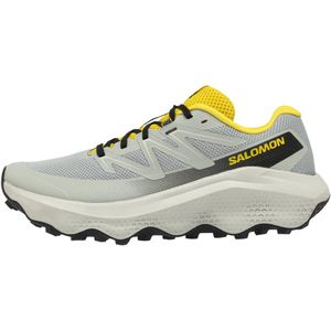 Trailschoenen voor heren ultraflow 2 grijs