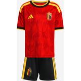 adidas - België Minikit Thuis 2026-2028 - Peuters/Kleuters