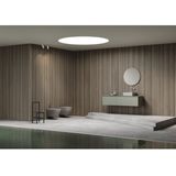 Royal Plaza Belbo closetzitting - slimseat - quickrelease - softclose - mat wit