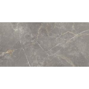 Vtwonen Classic Vloer- en wandtegel 30x60cm 10mm gerectificeerd porcellanato Grey 1409468