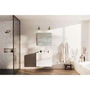 Nemo Go badkamermeubelset - 80x65x45.5cm - 2 lades - greeploos - 1 wasbak wit glans - 1 kraangat - met spiegel - MDF standard white SW646687 – SW404481 – SW403295 – SW647016