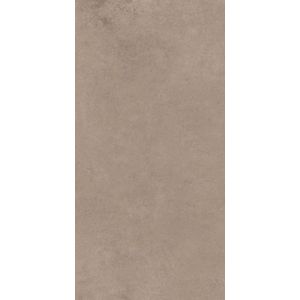 Royal Plaza Ohio wand -en vloertegel 30x60cm - rechthoek - R10 - gerectificeerd - beige