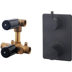 Wiesbaden Caral thermostatische inbouwdouchekraan met 2 functies omstel mat zwart sw62490/SW158719