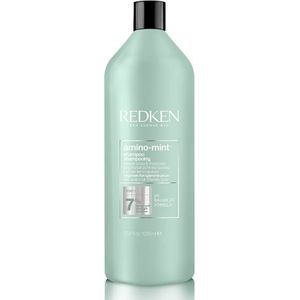 Redken Haircare Amino Mint Shampoo