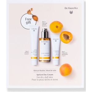 Dr. Hauschka Apricot Day Cream Set