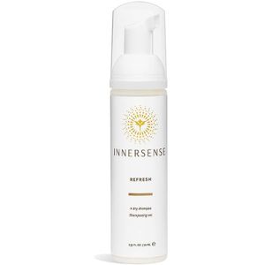Styling & Finishing Refresh Dry Shampoo