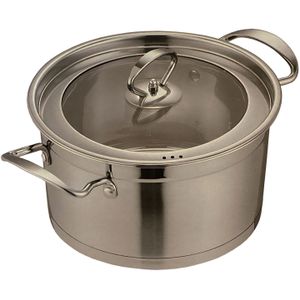 Kookkunst Holland RVS braadpan/kookpan met glazen deksel - inductie - Ø 20 cm