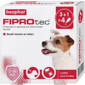 Beaphar FiproTec dog 2-10kg (NL) 4 Pipetten x 0,67 ml (APO)