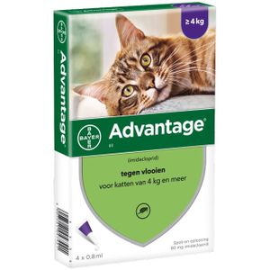 4 Pipetten AdvantageÂ 80 voor katten vanaf 4kg