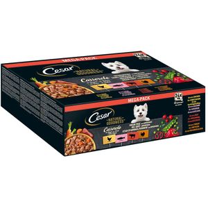 24x 100 g Cesar Natural Goodness Graanvrij met Superfoods Casserole in saus (zalm, kip, rund, kalkoen) natvoer voor honden