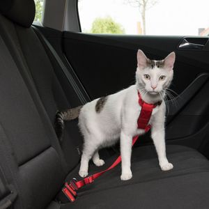 - Rood - Trixie Auto-Tuigje voor katten
