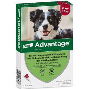 Advantage® 250 4 Pipetten voor honden van 10kg tot minder dan 25kg - BE