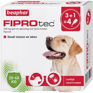 Beaphar FiproTec Hond 20-40kg (NL) 4 Pipetten x 2,68 ml (APO)