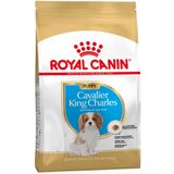 1,5kg Cavalier King Charles Puppy Royal Canin Breed Hondenvoer