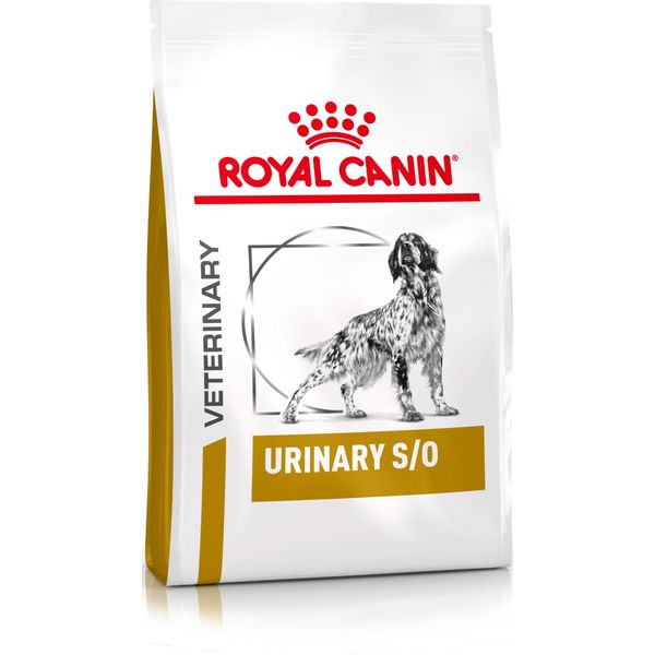 Advertentie Wet en regelgeving Ongeschikt Royal Canin voer aanbieding | De beste merken online | beslist.nl