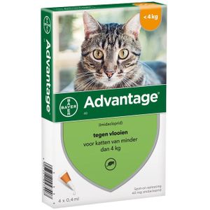 4 Pipetten AdvantageÂ® 40 voor katten van minder dan 4 kg - NL